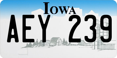 IA license plate AEY239