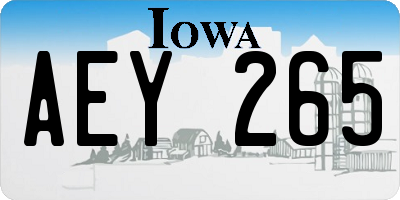 IA license plate AEY265