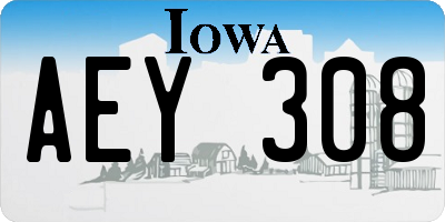 IA license plate AEY308