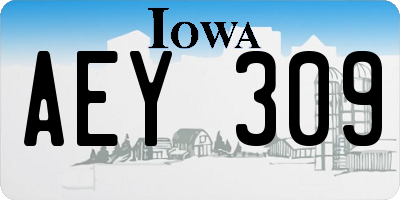IA license plate AEY309