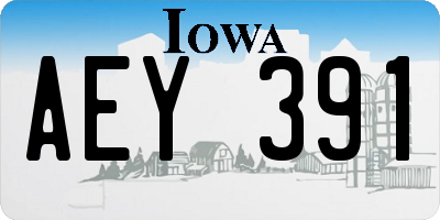 IA license plate AEY391