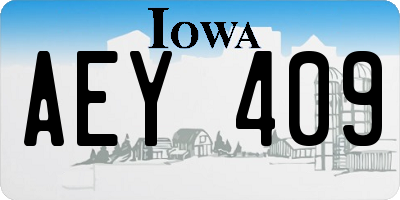 IA license plate AEY409