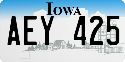 IA license plate AEY425