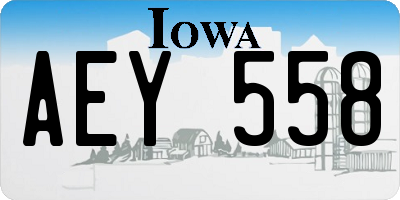 IA license plate AEY558