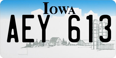 IA license plate AEY613