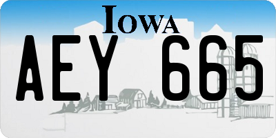 IA license plate AEY665