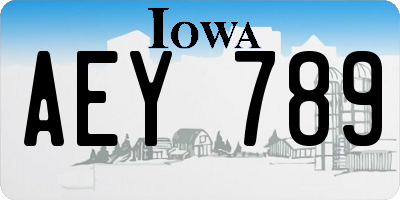 IA license plate AEY789