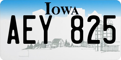 IA license plate AEY825