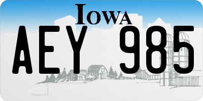 IA license plate AEY985