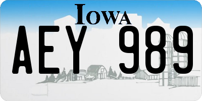 IA license plate AEY989