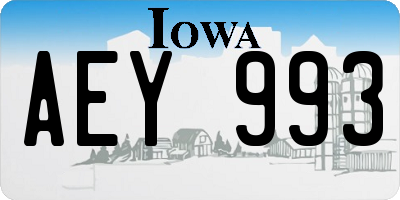 IA license plate AEY993