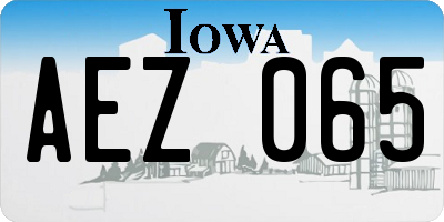 IA license plate AEZ065