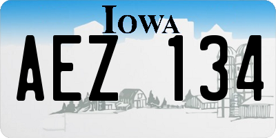 IA license plate AEZ134