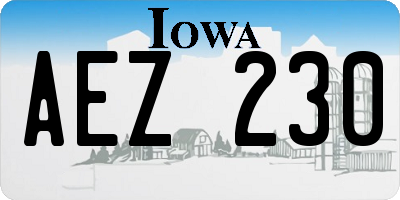 IA license plate AEZ230