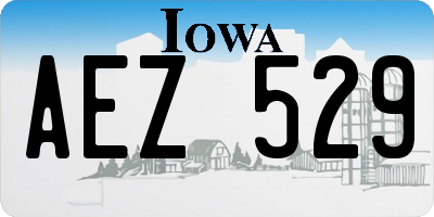 IA license plate AEZ529