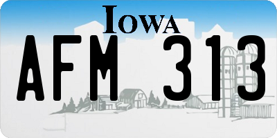 IA license plate AFM313