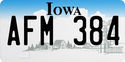 IA license plate AFM384