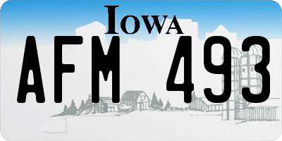 IA license plate AFM493