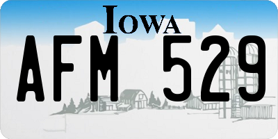 IA license plate AFM529