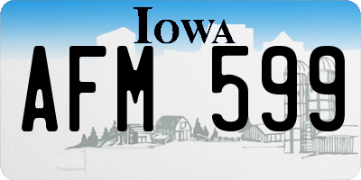 IA license plate AFM599