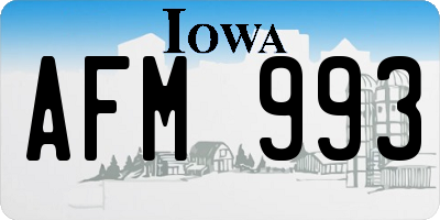 IA license plate AFM993