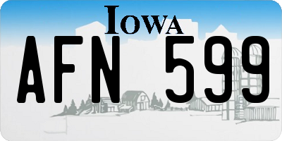 IA license plate AFN599