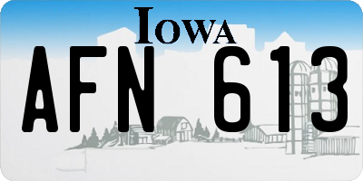 IA license plate AFN613