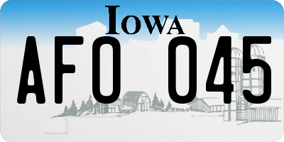 IA license plate AFO045