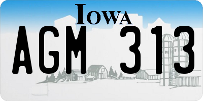 IA license plate AGM313