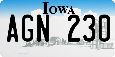 IA license plate AGN230