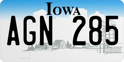 IA license plate AGN285