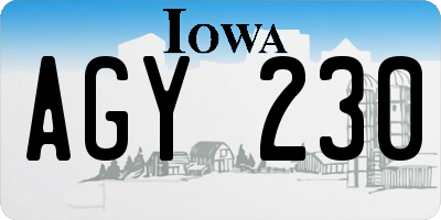 IA license plate AGY230