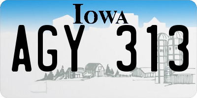 IA license plate AGY313