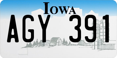 IA license plate AGY391