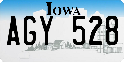 IA license plate AGY528