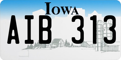 IA license plate AIB313