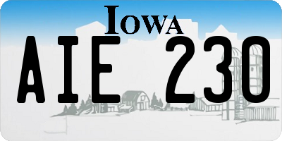 IA license plate AIE230