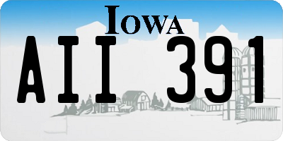 IA license plate AII391