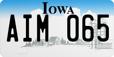 IA license plate AIM065
