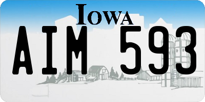 IA license plate AIM593