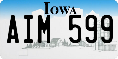 IA license plate AIM599