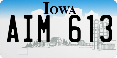 IA license plate AIM613
