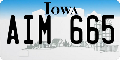 IA license plate AIM665