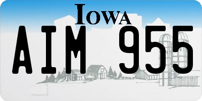 IA license plate AIM955
