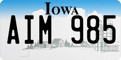 IA license plate AIM985