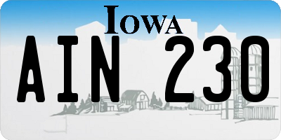 IA license plate AIN230