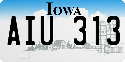 IA license plate AIU313
