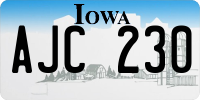 IA license plate AJC230