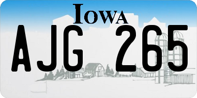 IA license plate AJG265
