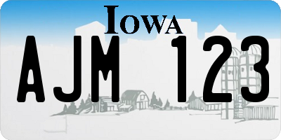 IA license plate AJM123